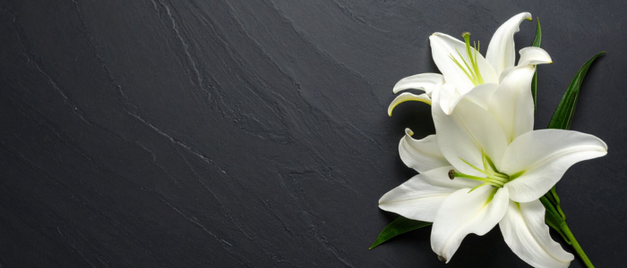 O Luto: Entre a Dor, o Amor e a Fé